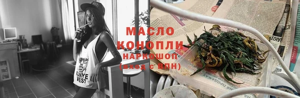 молекула духа Волоколамск