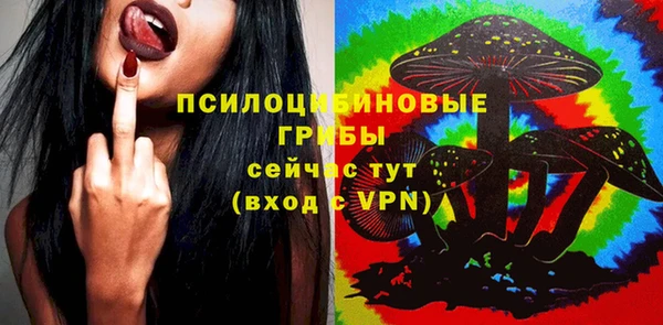 твердый Бронницы
