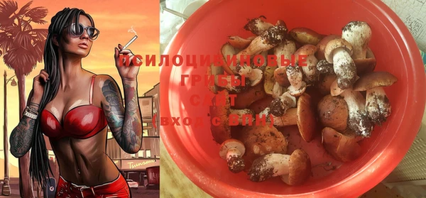a pvp Верхний Тагил