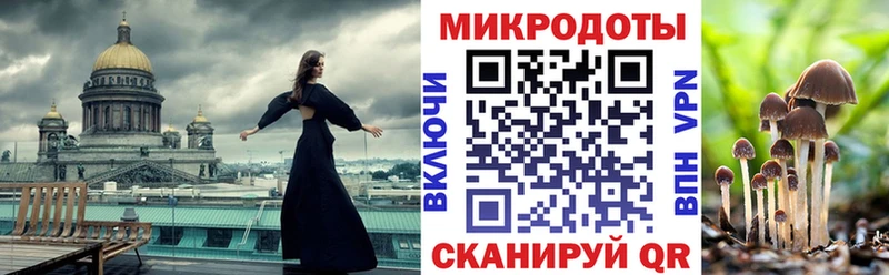 Псилоцибиновые грибы мицелий Купить где Дюртюли